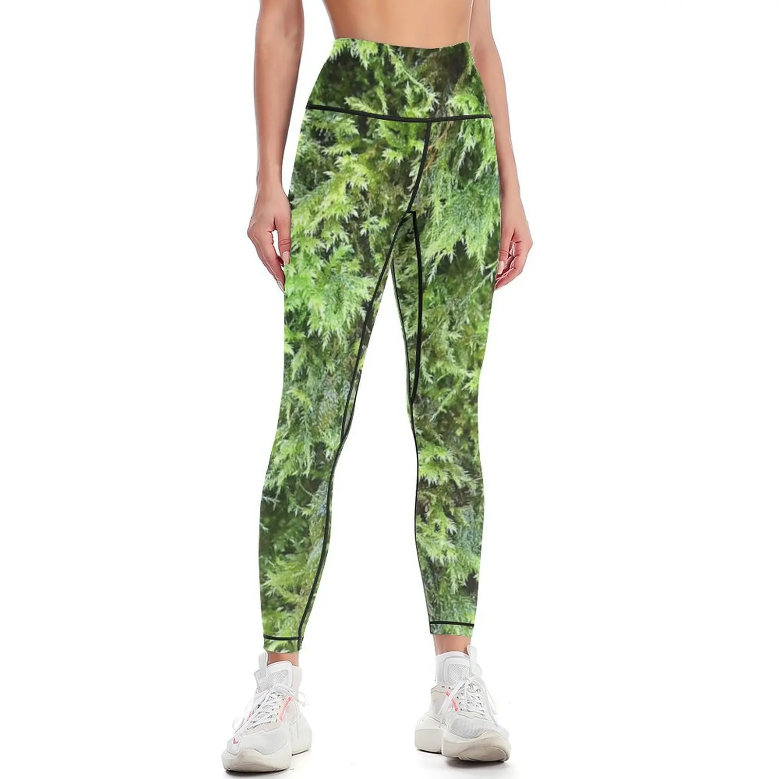 Photography Yoga - Photography of moss 1 Leggings Sports