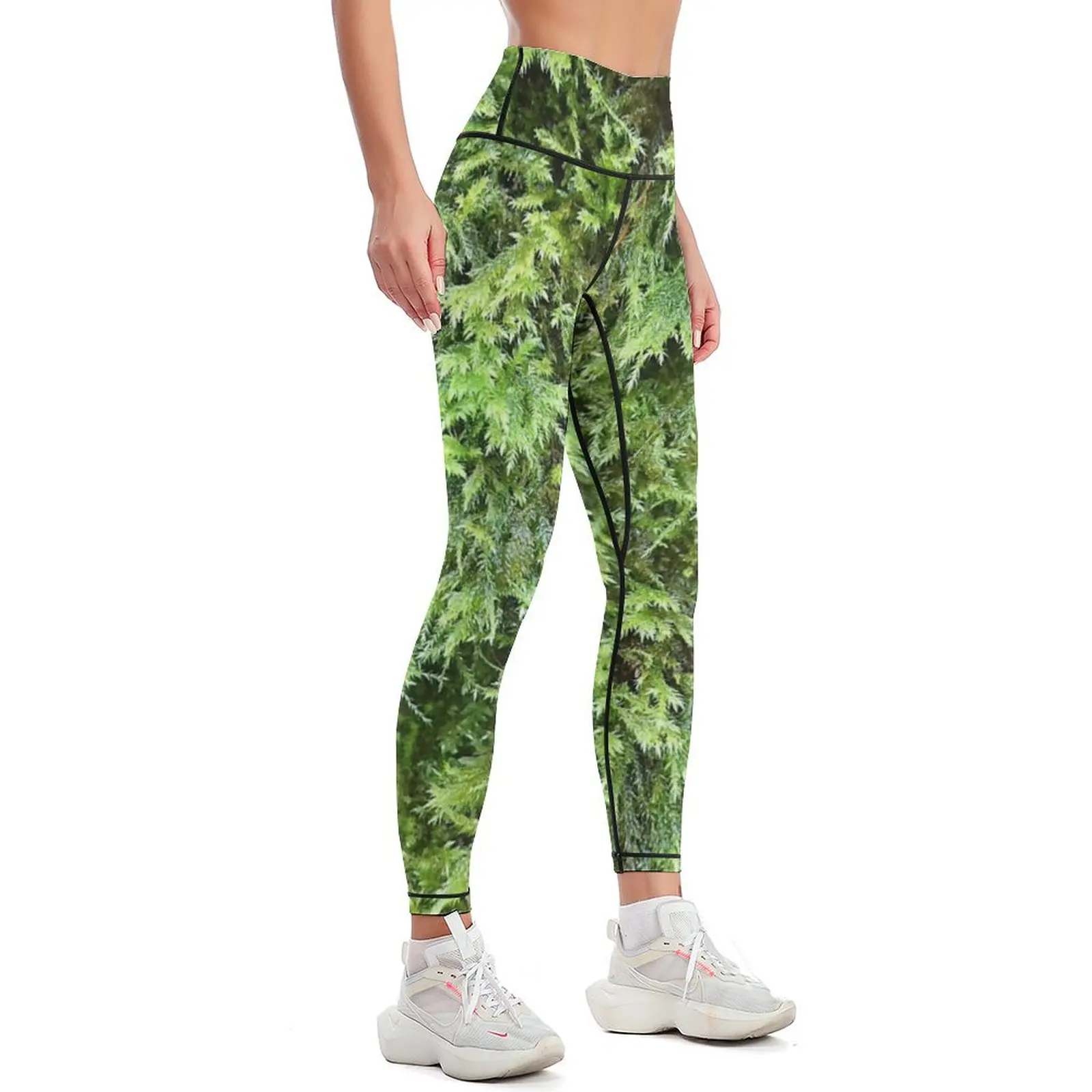 Photography of moss 1 Leggings - Photography Yoga review and price