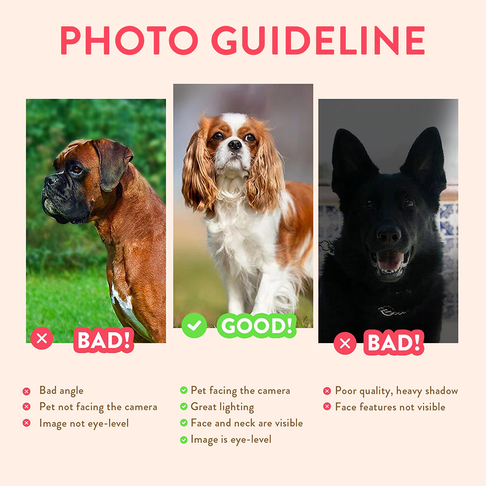 Personalized Pet Portraits Pho - Photography Poster review and price