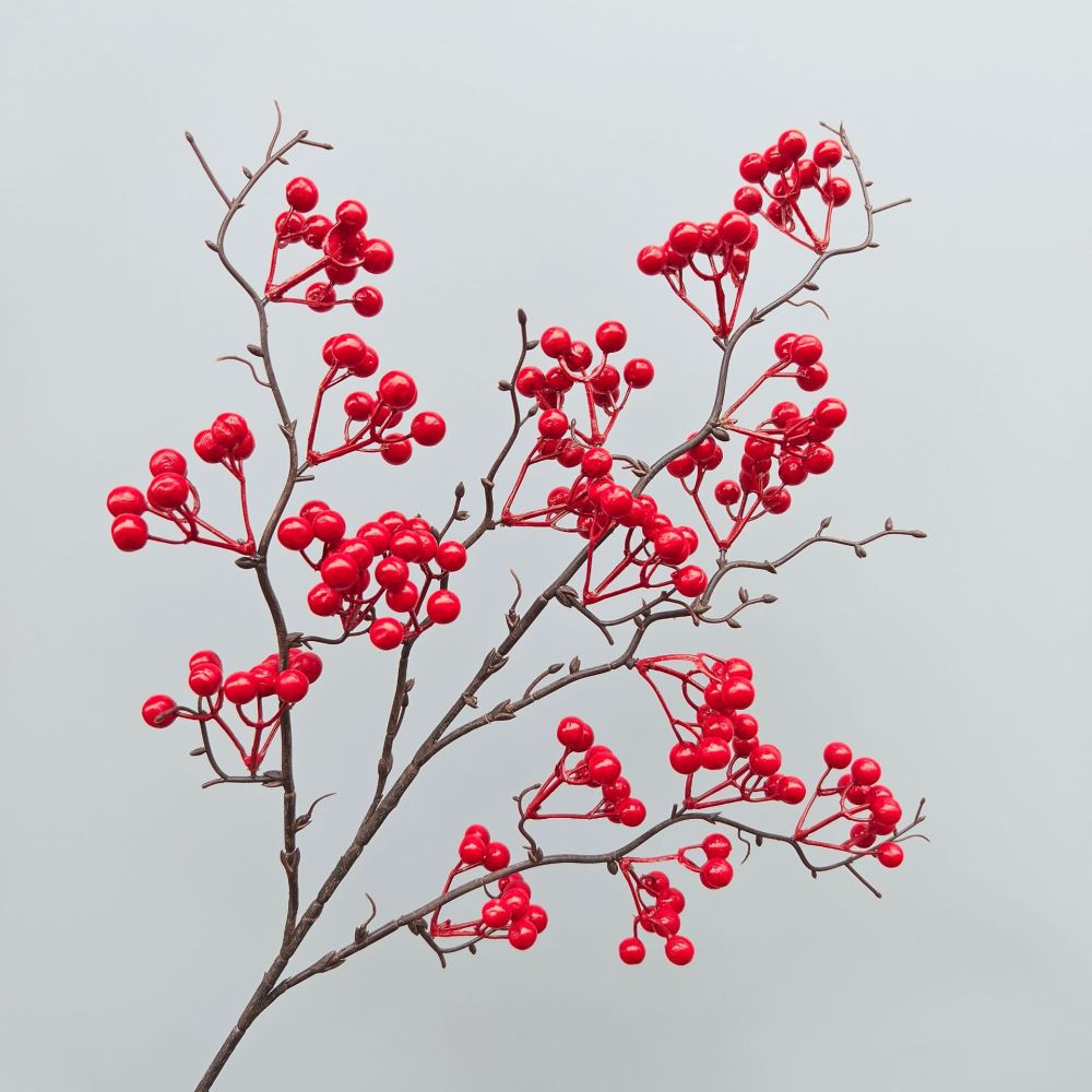 Decorative Simulation Berry Br - Photography Desk review and price